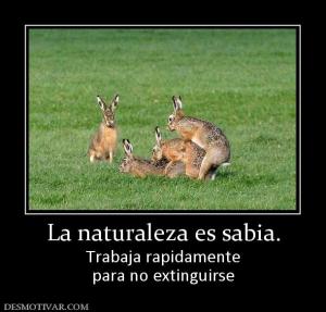 La naturaleza es sabia. Trabaja rapidamente para no extinguirse