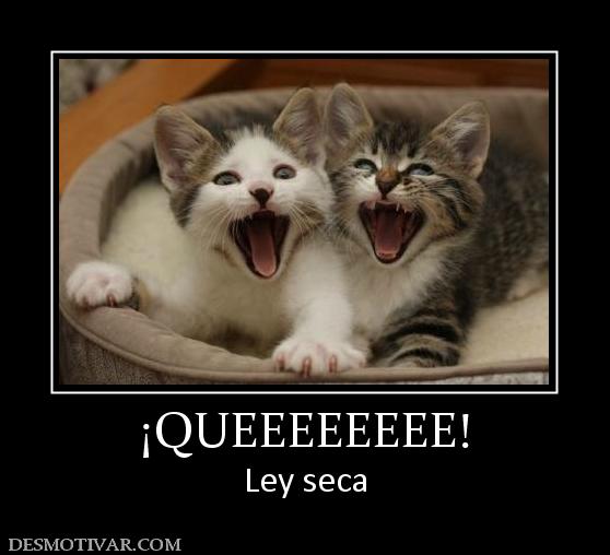 ¡QUEEEEEEEE! Ley seca