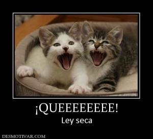 ¡QUEEEEEEEE! Ley seca