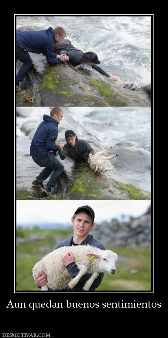 Aun quedan buenos sentimientos