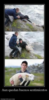 Aun quedan buenos sentimientos