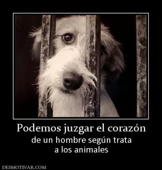 Podemos juzgar el corazón de un hombre según trata a los animales