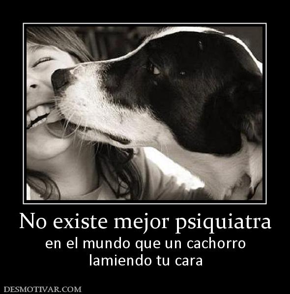 No existe mejor psiquiatra en el mundo que un cachorro lamiendo tu cara