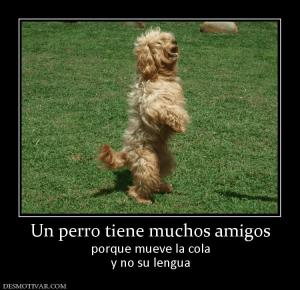 Un perro tiene muchos amigos porque mueve la cola y no su lengua