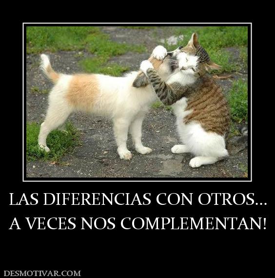 LAS DIFERENCIAS CON OTROS... A VECES NOS COMPLEMENTAN!