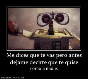 Me dices que te vas pero antes dejame decirte que te quise  como a nadie.