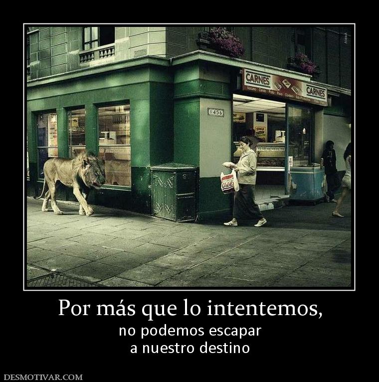 Por más que lo intentemos, no podemos escapar a nuestro destino