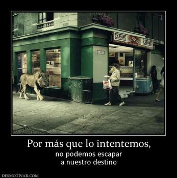 Por más que lo intentemos, no podemos escapar a nuestro destino