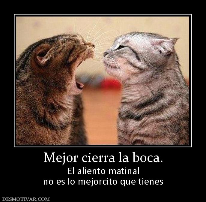 Mejor cierra la boca. El aliento matinal no es lo mejorcito que tienes