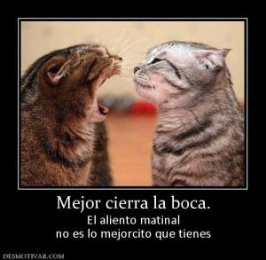 Mejor cierra la boca. El aliento matinal no es lo mejorcito que tienes