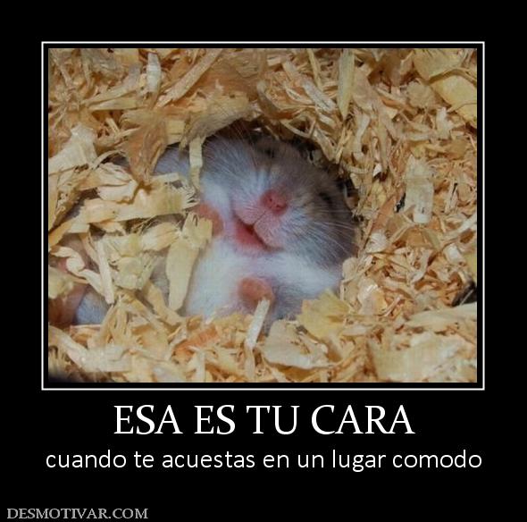ESA ES TU CARA cuando te acuestas en un lugar comodo