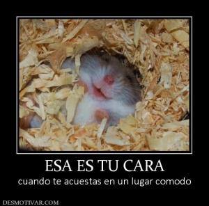 ESA ES TU CARA cuando te acuestas en un lugar comodo