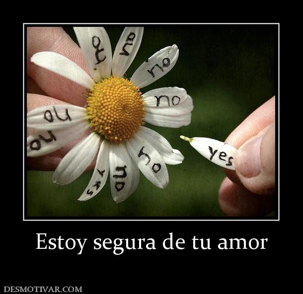 Estoy segura de tu amor