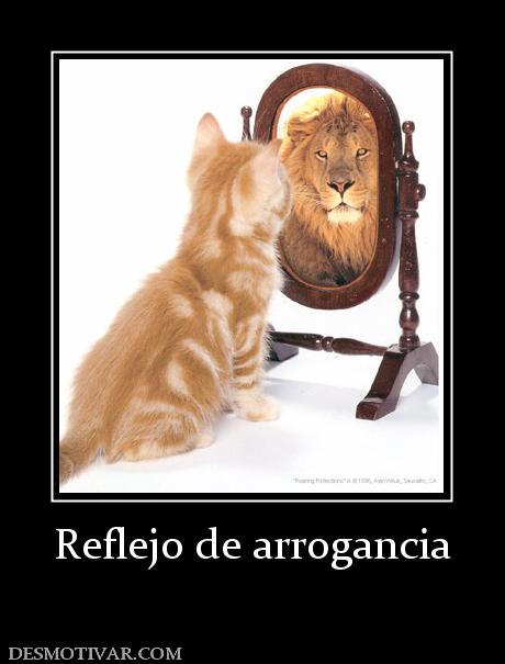 Reflejo de arrogancia