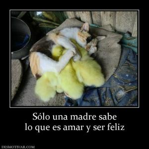 Sólo una madre sabe lo que es amar y ser feliz