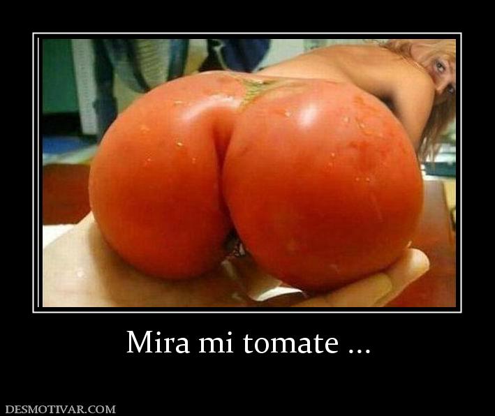 Mira mi tomate ...