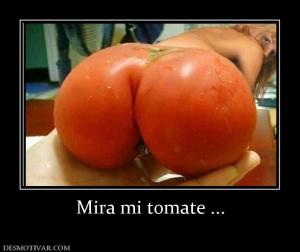 Mira mi tomate ...