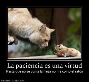 La paciencia es una virtud Hasta que no se coma la fresa no me como el ratón