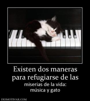 Existen dos maneras para refugiarse de las miserias de la vida: música y gato