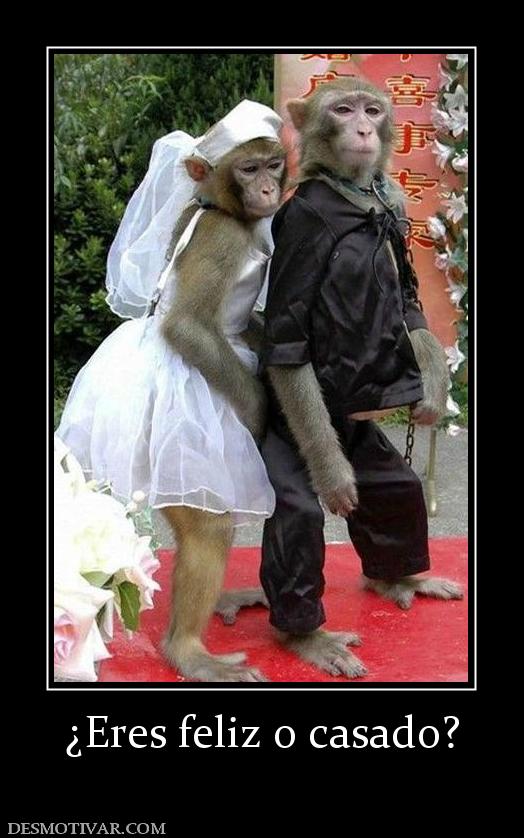 ¿Eres feliz o casado?