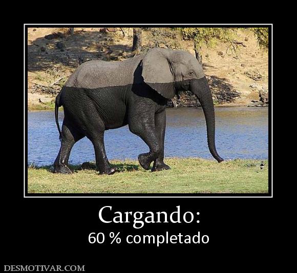 Cargando: 60 % completado