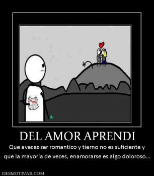 DEL AMOR APRENDI Que aveces ser romantico y tierno no es suficiente y que la mayoría de veces, enamorarse es algo doloroso...