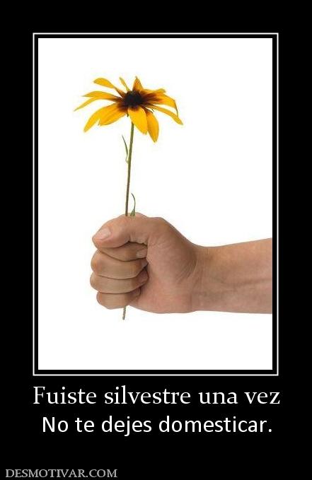 Fuiste silvestre una vez No te dejes domesticar.