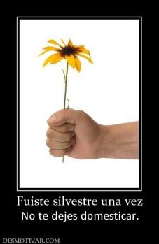 Fuiste silvestre una vez No te dejes domesticar.