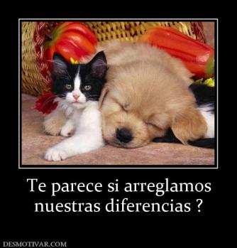 Te parece si arreglamos nuestras diferencias ?