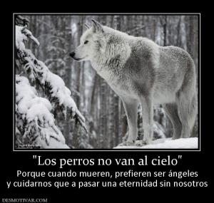 Porque cuando mueren, prefieren ser ángeles y cuidarnos que a pasar una eternidad sin nosotros