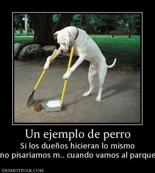 Un ejemplo de perro Si los dueños hicieran lo mismo no pisaríamos m.. cuando vamos al parque