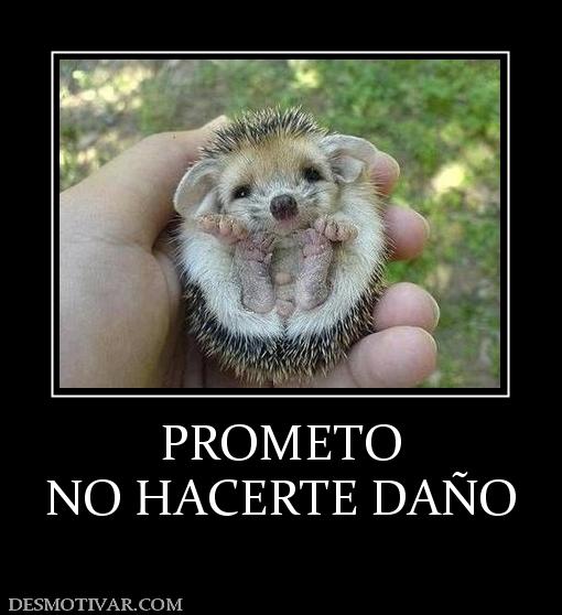 PROMETO NO HACERTE DAÑO