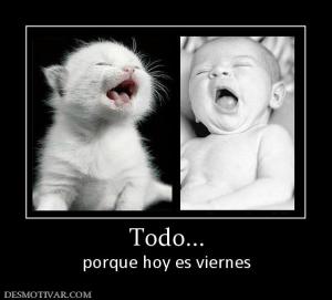 Todo... porque hoy es viernes