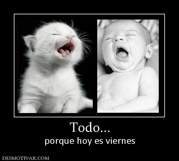 Todo... porque hoy es viernes
