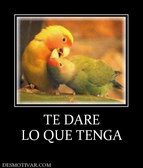 TE DARE LO QUE TENGA