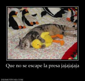 Que no se escape la presa jajajajaja