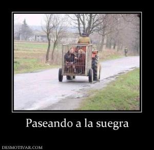 Paseando a la suegra