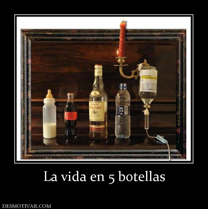 La vida en 5 botellas