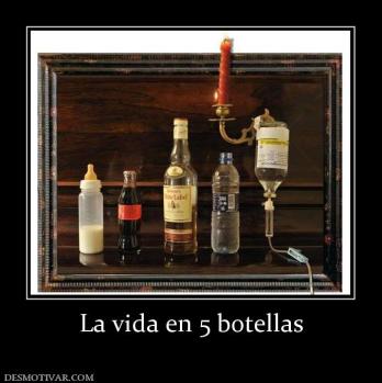 La vida en 5 botellas