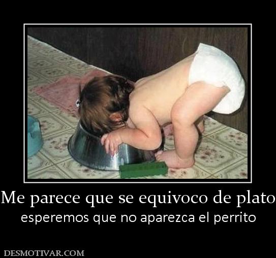 Me parece que se equivoco de plato esperemos que no aparezca el perrito