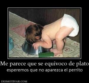 Me parece que se equivoco de plato esperemos que no aparezca el perrito