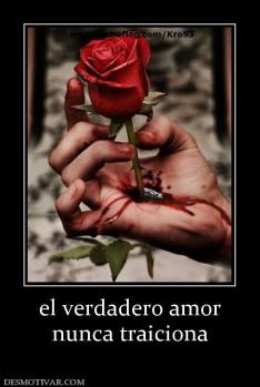 el verdadero amor nunca traiciona