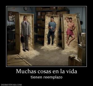 Muchas cosas en la vida tienen reemplazo