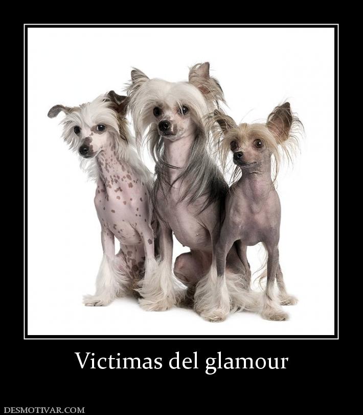 Victimas del glamour