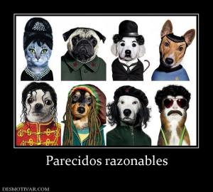 Parecidos razonables