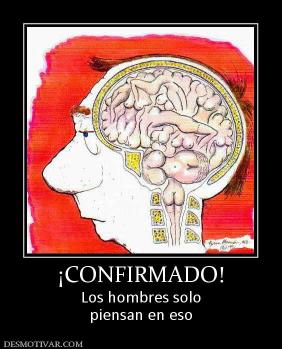 ¡CONFIRMADO! Los hombres solo piensan en eso