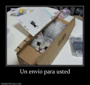 Un envío para usted