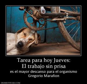 Tarea para hoy Jueves: El trabajo sin prisa es el mayor descanso para el organismo Gregorio Marañon