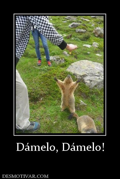 Dámelo, Dámelo!