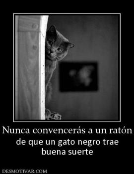 Nunca convencerás a un ratón de que un gato negro trae buena suerte